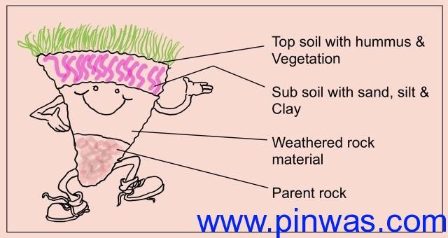 Natural Resources : soil