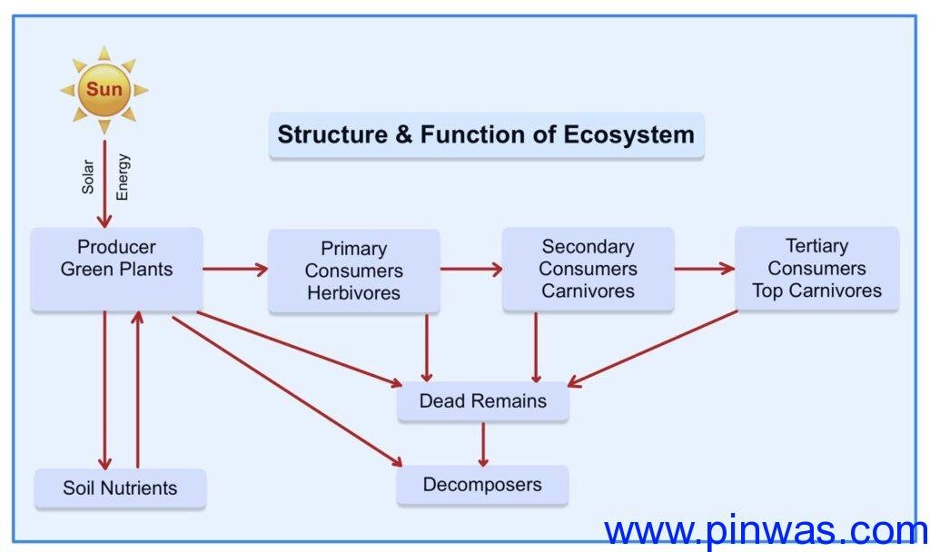 Habitat & Ecosystem